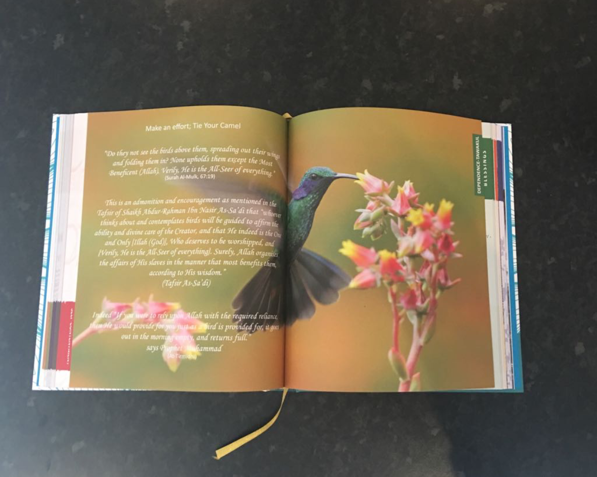 Qur’an and Me Reflective Journal